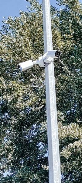 Sécurité en Milieu Frigorifique à Saint-Priest : Vidéosurveillance Hikvision Haute Résistance